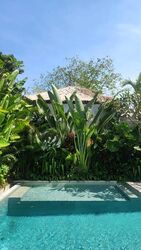 Holland Road (D10), Detached #497201591